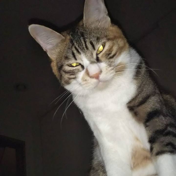 400d26a5 cfbc 4318 a83c 667a14840382 1694668494055