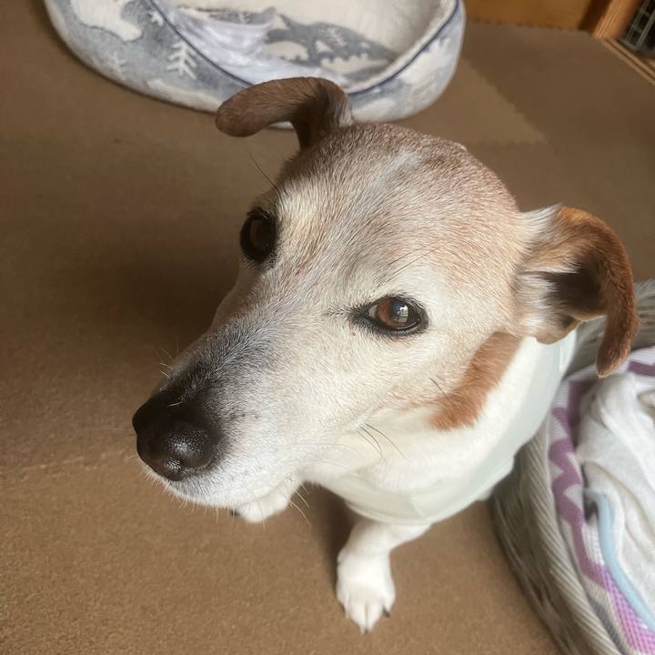 400d32bb 694a 4c79 a6d7 9711decc2672 1776036057686