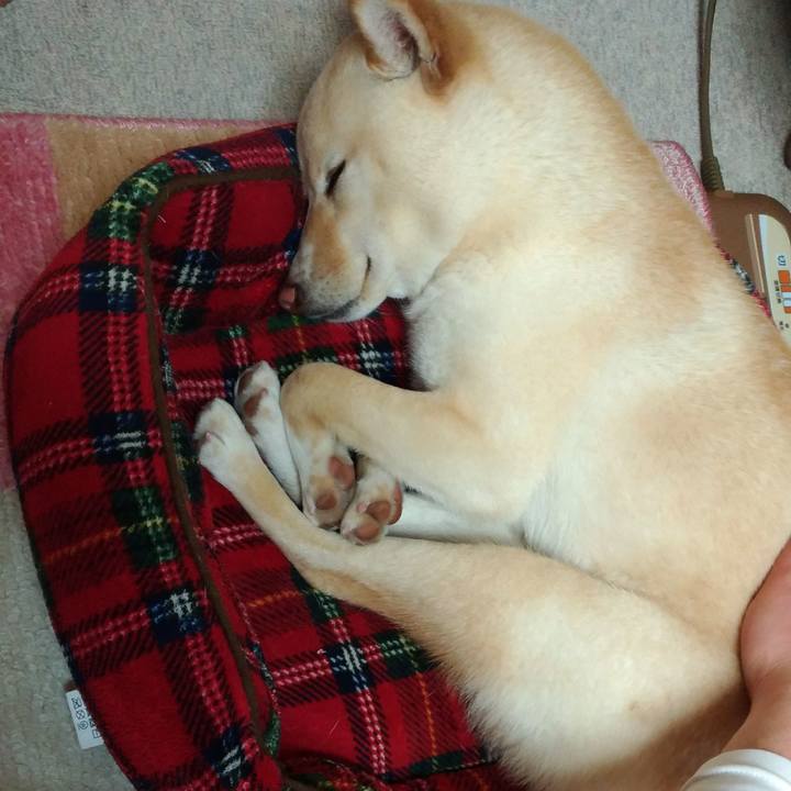 400d4eb1 1fcb 4e9a aabf 3eac9e497155 1520688318417