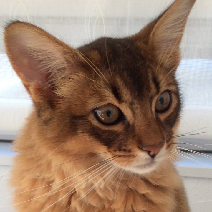 400d5e18 67fc 4af5 bbd8 51fff74c82d1 1575975787858