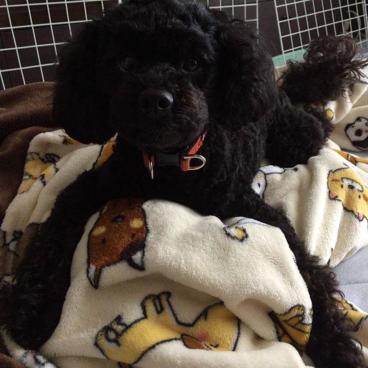 400d65b8 2744 4285 9722 65d2133c7f28 1523768002763