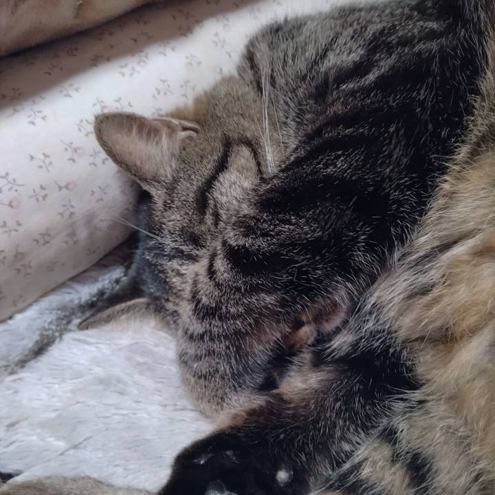 400d7f4c a698 42e7 8c28 5c2e95a7f021 1670200771645