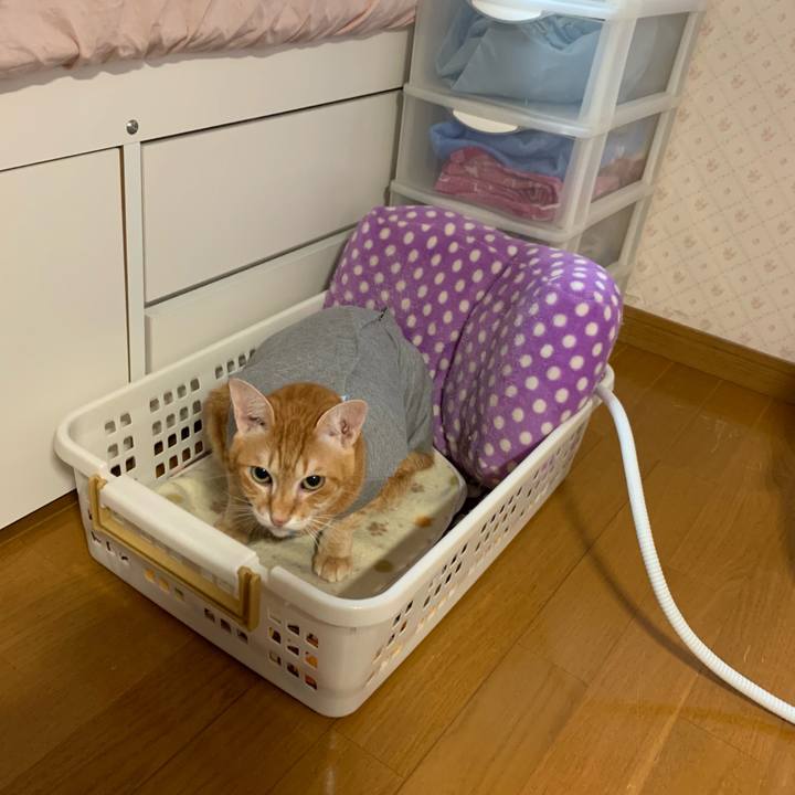 400d9afb 1c27 4083 b1da 8187f89f9409 1569049662525