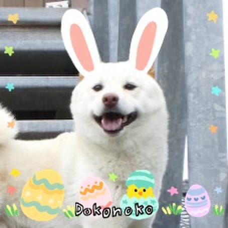 400e0775 a86d 4ccd b77b a75d1fe06ea0 1712247624856