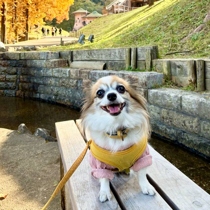 400e0ff7 befe 4225 b571 ab055cca8f4c 1763272009783