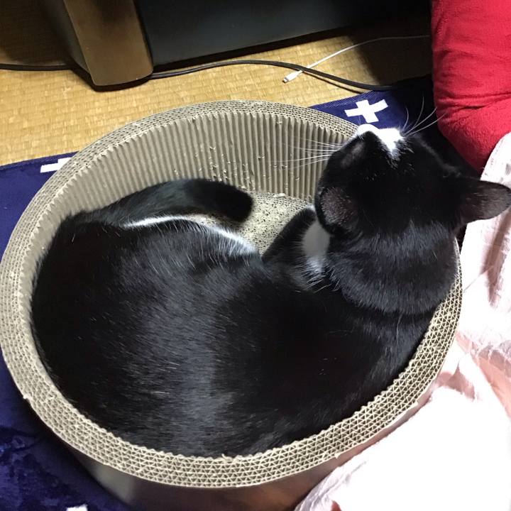 400e2444 9fd1 4f5b 950b 3a029105fdca 1703755821138