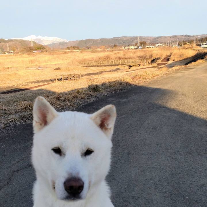 400e2986 0048 40c8 936b 3e698f8c8596 1642295705678