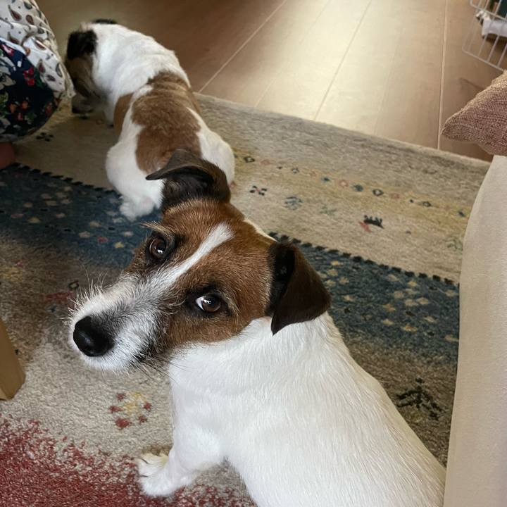 400e4381 a5d3 4b5c aae0 3ff7ff978507 1688860483895