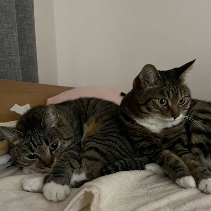 400e521d bc1d 4893 8145 ac2fa40fd7e8 1683720211377