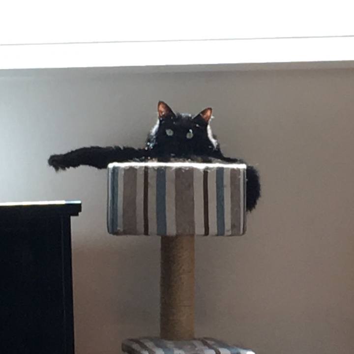 400e621b e5be 4f71 9572 6dfb46cfc1cb 1534554799207