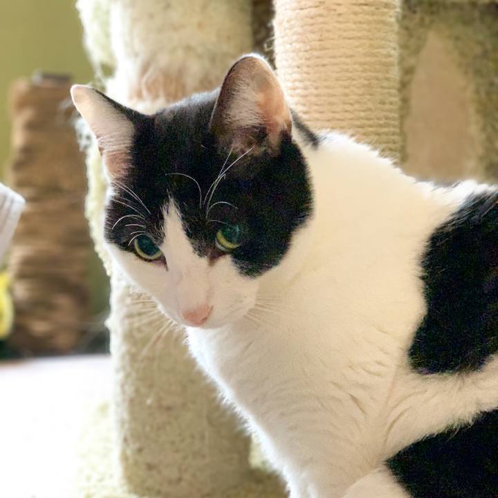 400e9b42 55c5 4f2e b4e0 650af5cae1dc 1547257435100