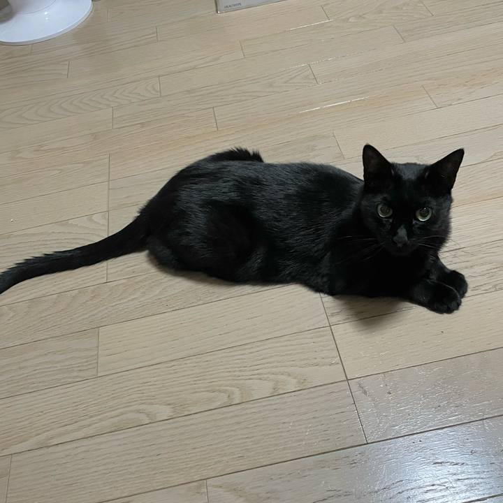 400ea0ff 0b06 4cfe b135 c188375d56f9 1754043186206