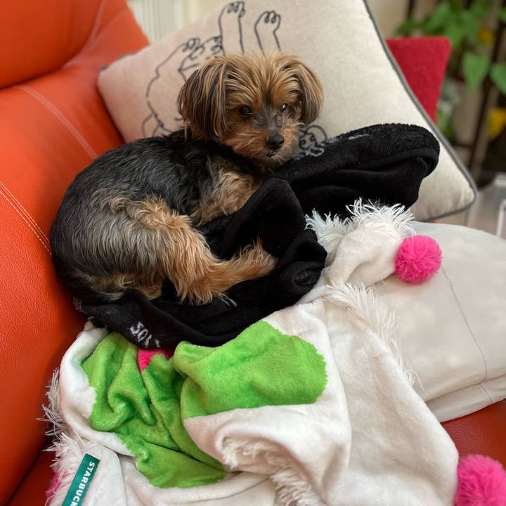 400ea2bc 1d01 41c7 a6a6 a1f63e593a6c 1705104943371