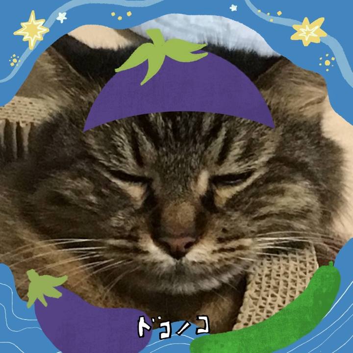 400eb525 c169 43c0 b1cf 02c2c4775db8 1755054699475