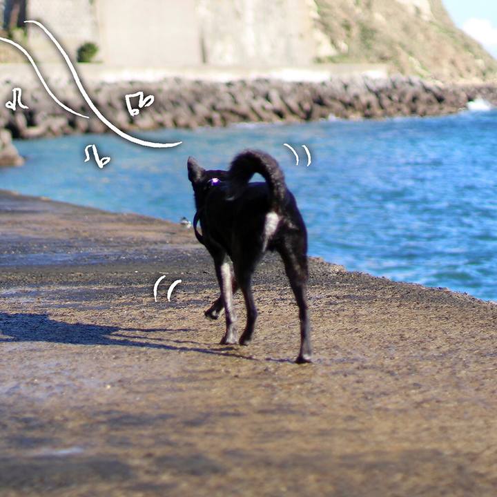 400eba43 a207 4611 82d8 c01539312855 1598916644612