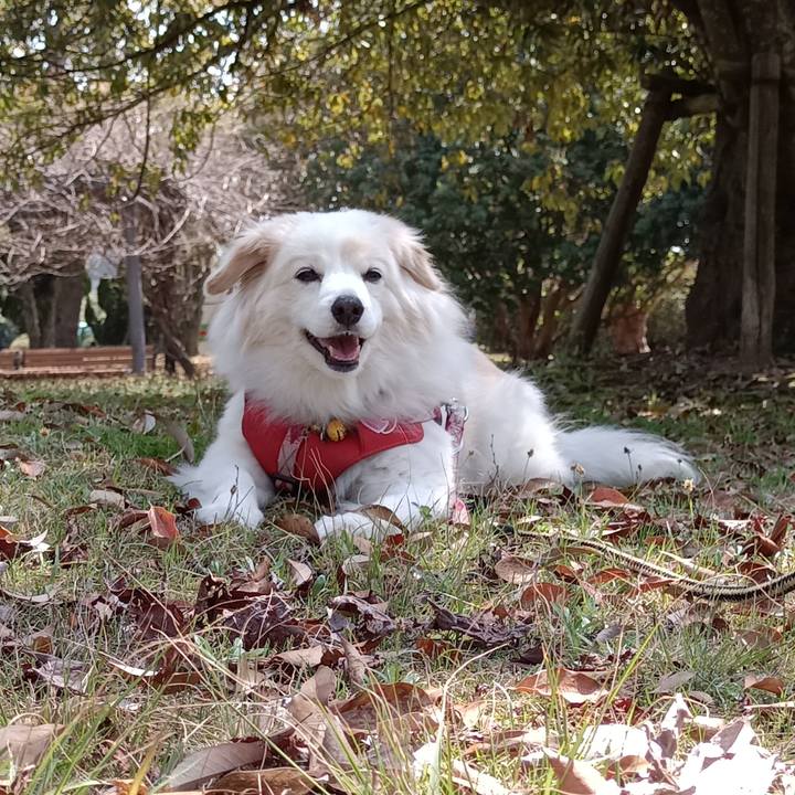 400efd11 5cbc 4036 be61 fed131d42dbb 1680339615447