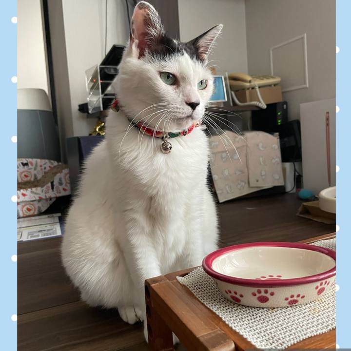 400f2ce5 f1f8 4f26 b0ab b5eb8eb1ebc7 1722158659440