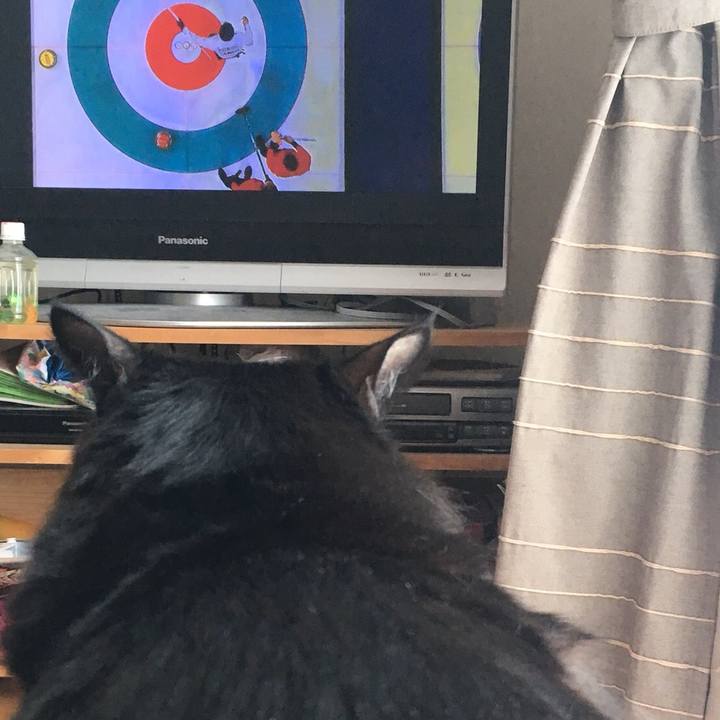 400f5b5b 142d 489a 9f22 3e8f067237e1 1518678431527