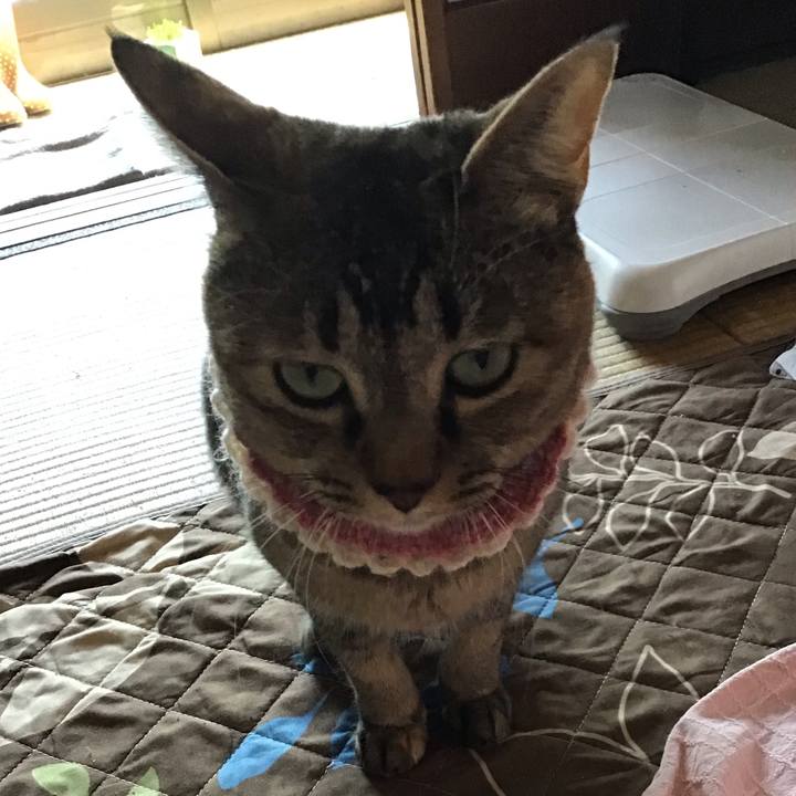 400f61af df06 46b6 8e8d 7301e74c7be2 1618031084456