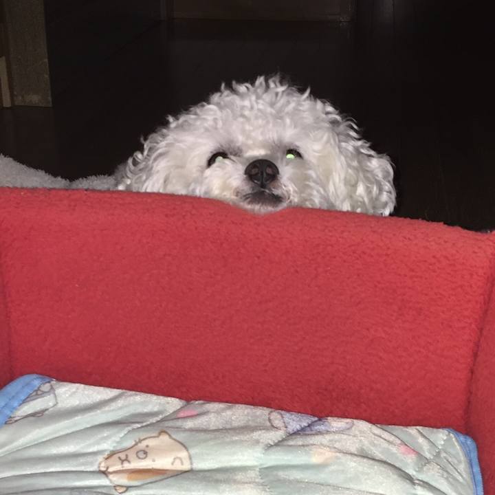 400f67aa 59e0 4786 80ba 86e6027a5721 1533644930289