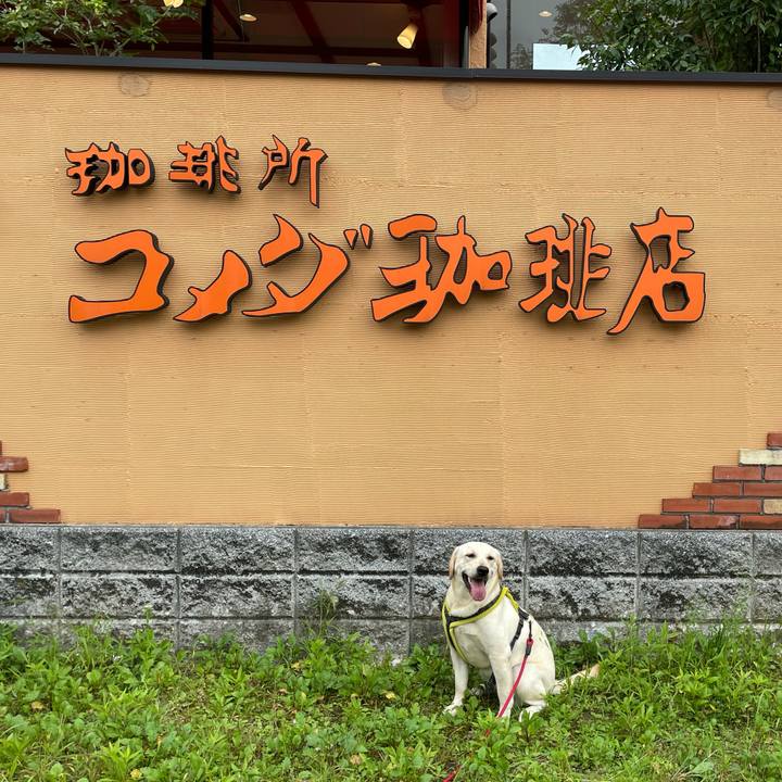 400f825d 8d22 4729 8d6f 81fe7e917158 1632815240290