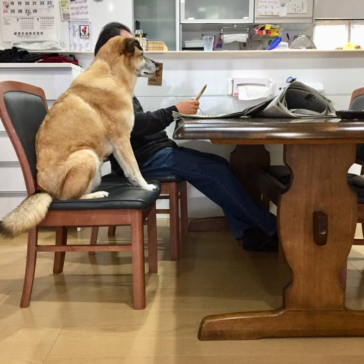 400f8489 baf5 417c 93e3 068979f77b7b 1551234447606