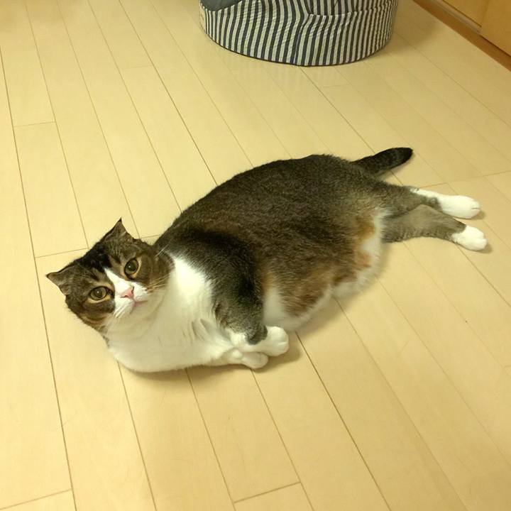 400f9400 d640 40fd a701 2dbaf7b3612d 1657626567472