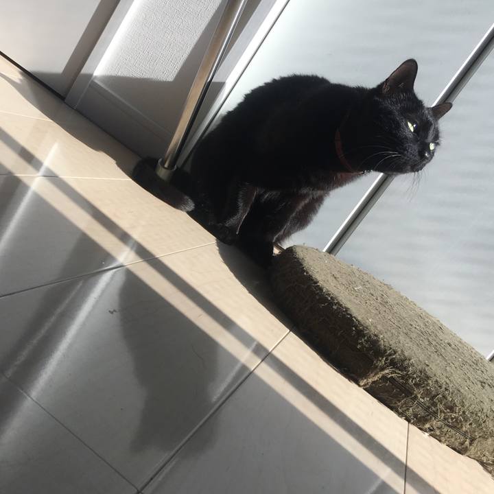 400fbb11 b3b0 4b8f a0a2 c00e7bf610ea 1523317075312