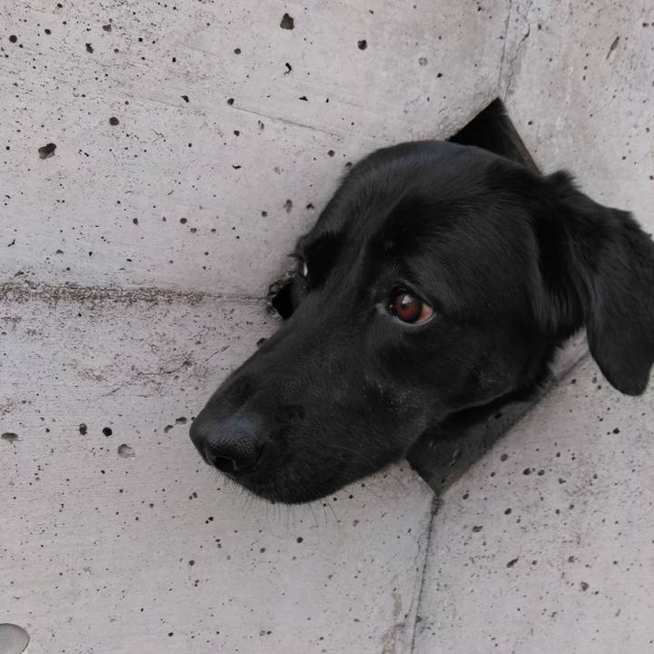 400fc5ed 1f7e 4dcc 9772 32d8715dd6f5 1561540649913