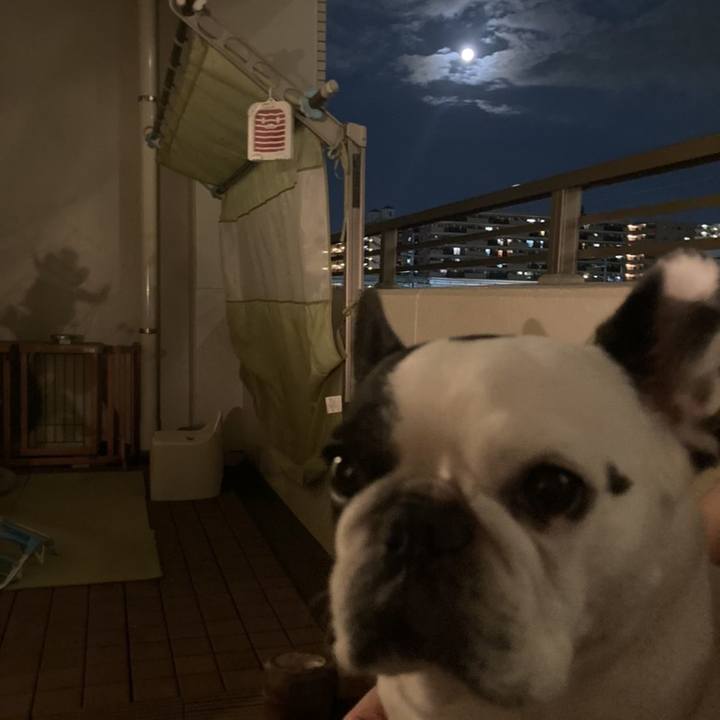 400fc85a 94dc 4226 aab4 563a6a27a0a2 1662808595401