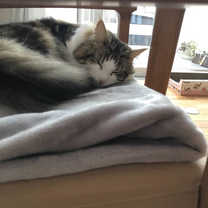 400fd096 46df 4995 b832 507eca486cd7 1521154530831