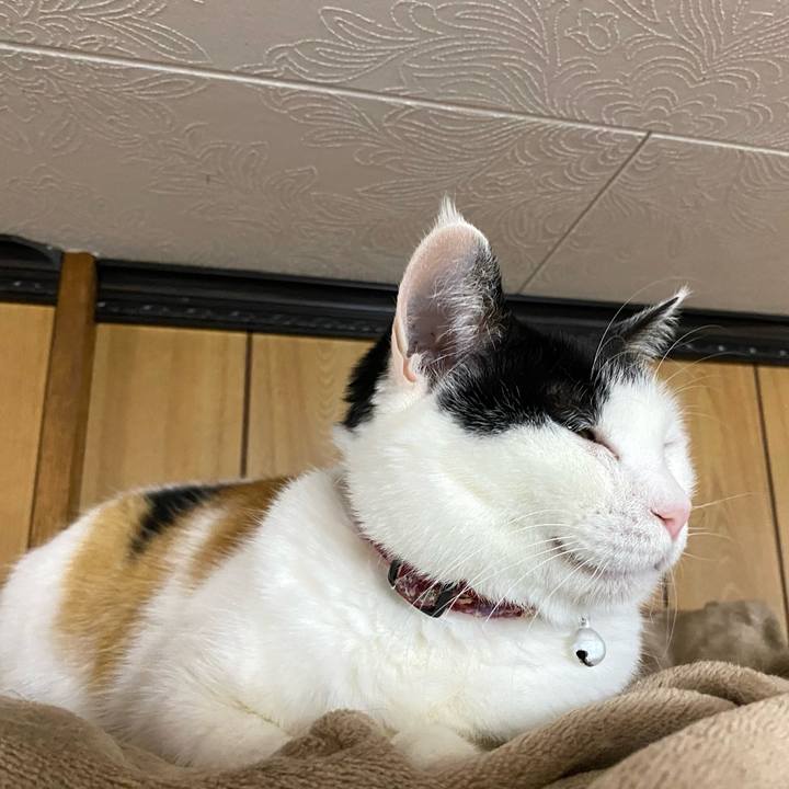 400ffaa7 2496 4872 91d0 6a9623d402f6 1678312891705