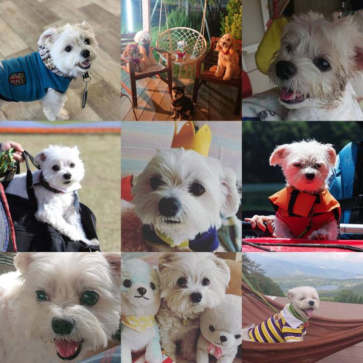 400ffcba 074e 4a08 9745 4980f558543f 1609376185010