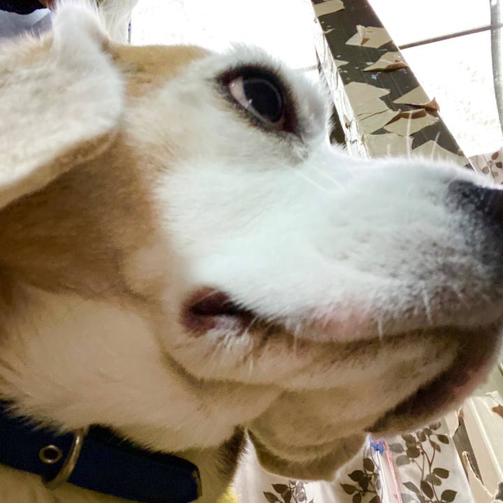 40103585 26b7 483c abef 9bbe5bb0c48c 1583642584653