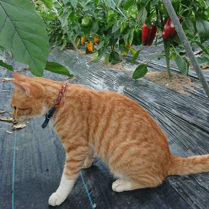 40103c88 ba71 4c92 8446 5466bcb40f8b 1564653239154