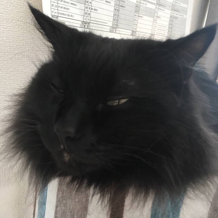 40107981 fb75 47e9 baa5 85ed3ea451f8 1547651753697