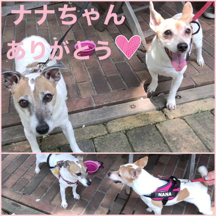 40108413 d0bc 4a73 a702 9e209011da6c 1598652503013