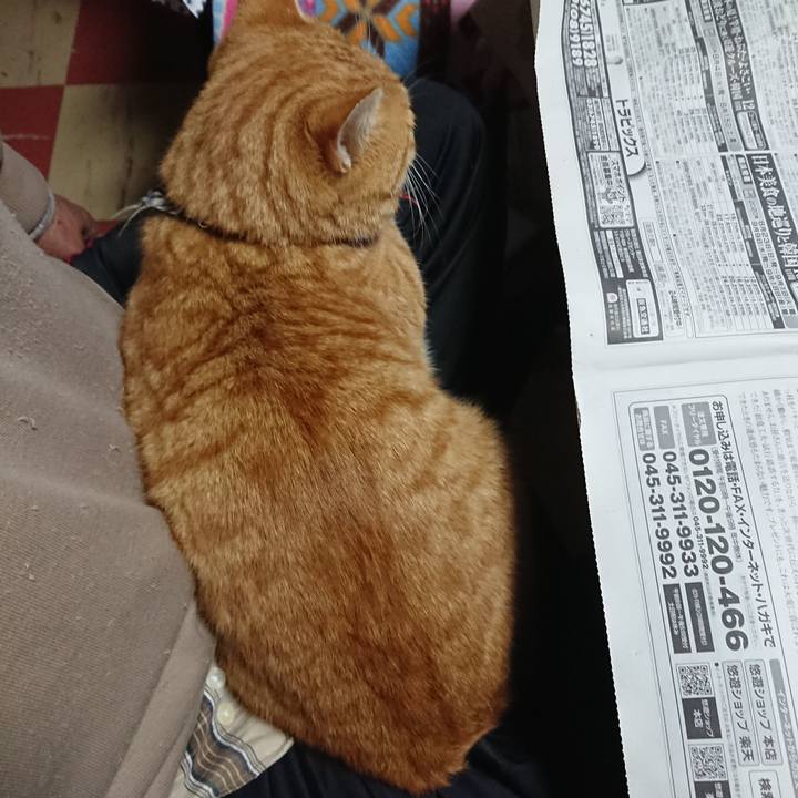 4010a325 7b09 46bd 9977 5d2c13fcb9bd 1573854227126