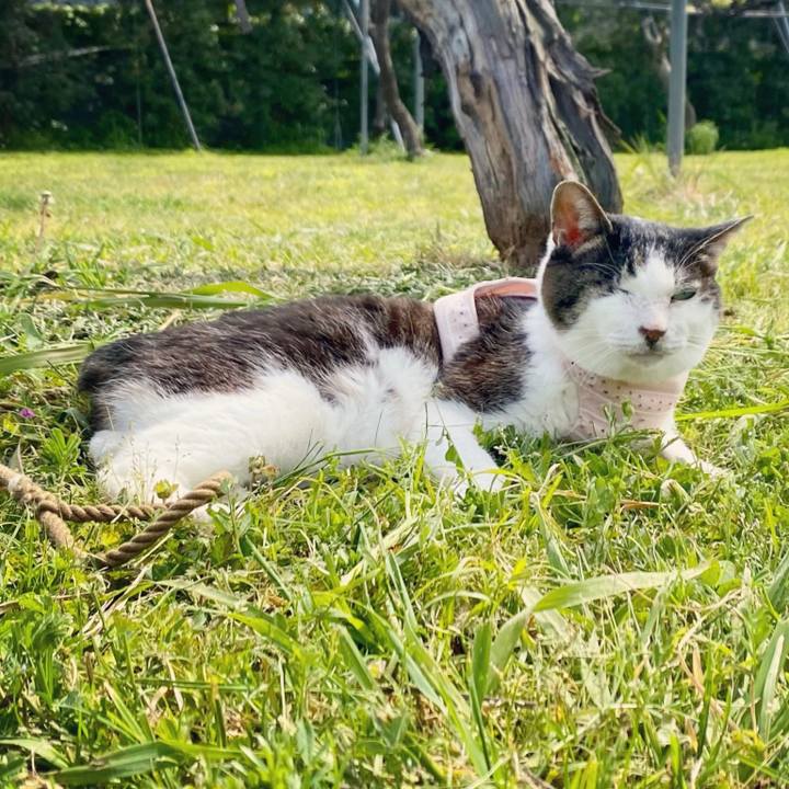 4010aaad 2740 4078 8540 47b83de9584f 1619501874249