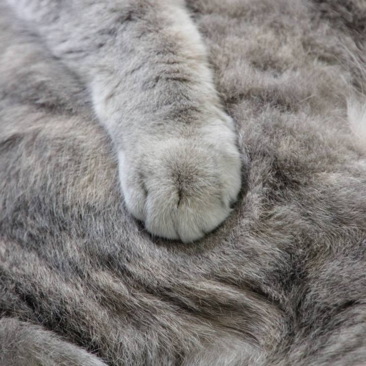 4010b299 89f3 4f5a afe3 03a371c548fc 1632372261473