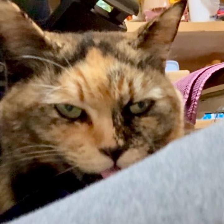 4010b846 b7f6 4459 be49 976424bf0e30 1769658448652