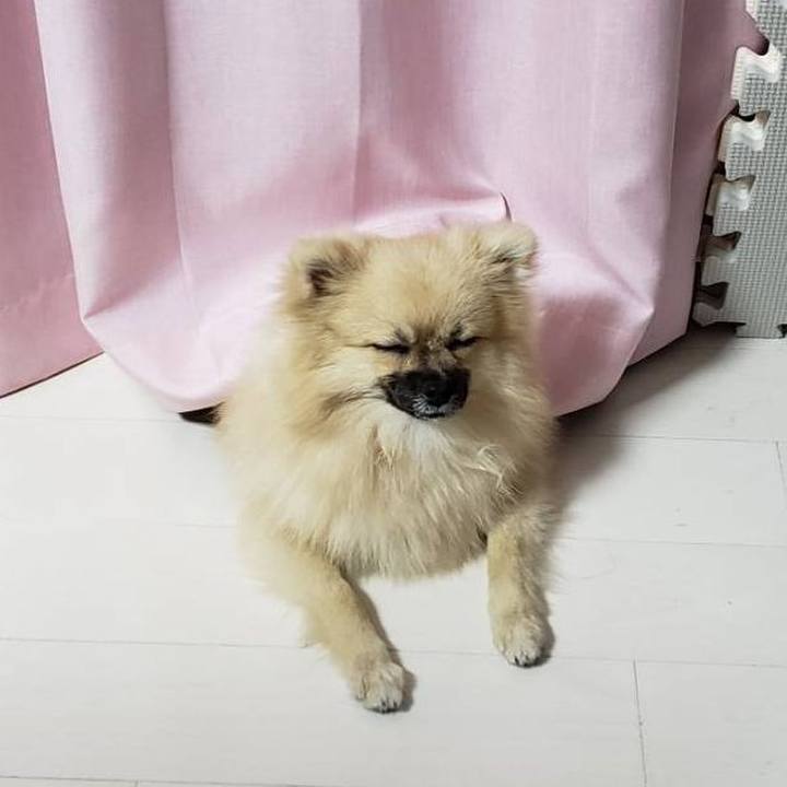 4010c400 0c4f 41a3 a5a7 ef0a88093032 1626924579729