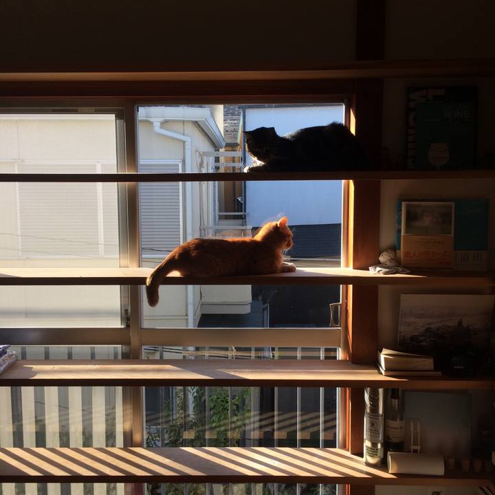 4010c7fb b422 48c3 8bd8 e60ec2dd49c5 1573946649951