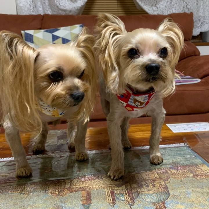 4010d327 3eda 4950 a6e1 1b2eac244e92 1614161816440