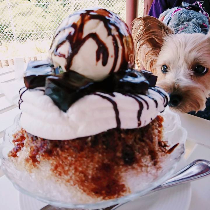 4010f123 f8bf 4dbf a2ac 96e14817e130 1533442480341