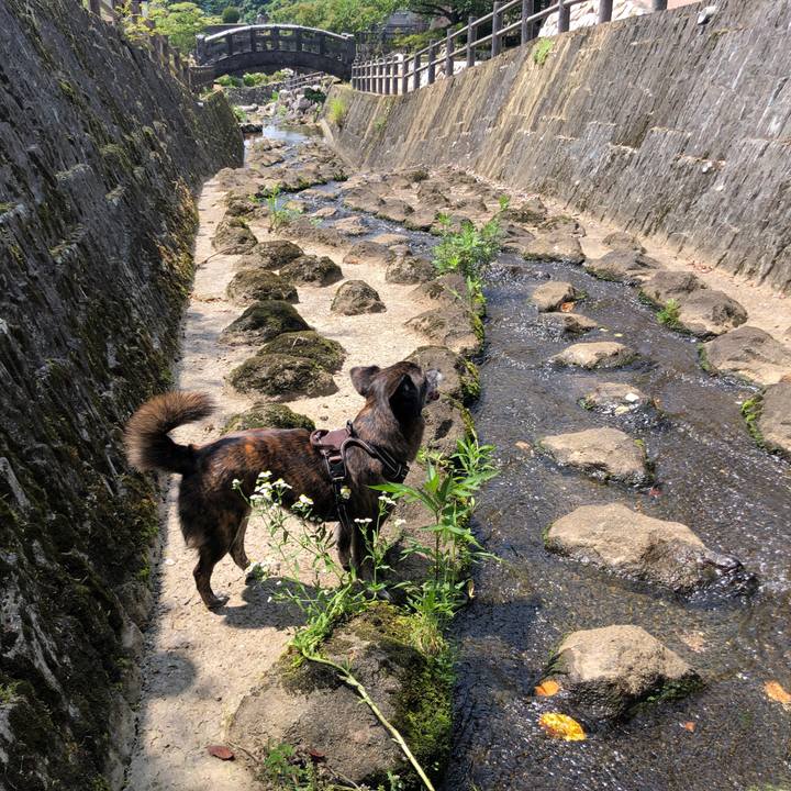 4010f7d0 8534 4555 ae2a d447aa92f751 1628665056253