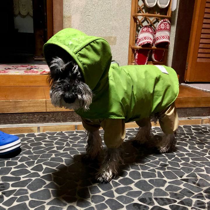 401107c5 e246 4b67 ac0a 029f0fa87888 1708429880839