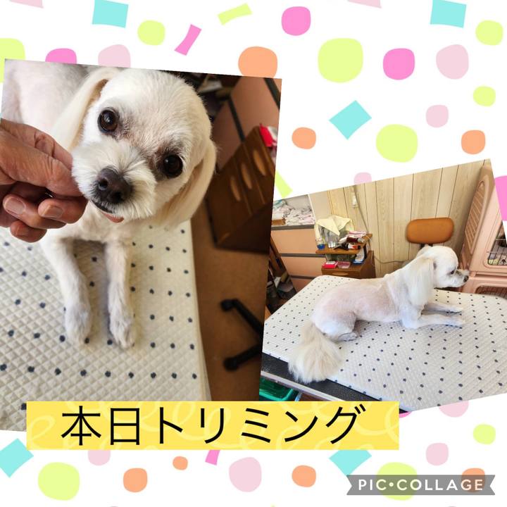 4011521d 35f1 4387 9544 e022a9c0ad39 1693308350934