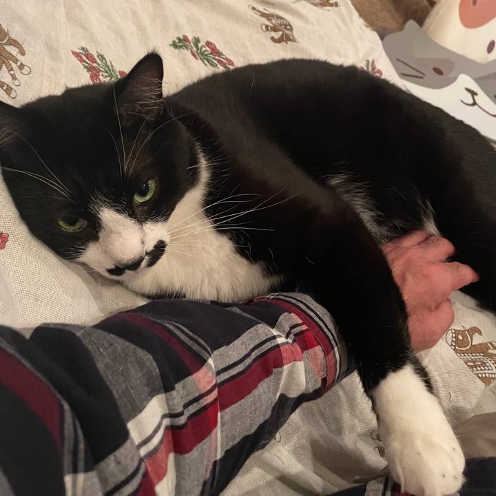 401160fb ec49 4cec b7c8 1bf367ea7801 1699095845145