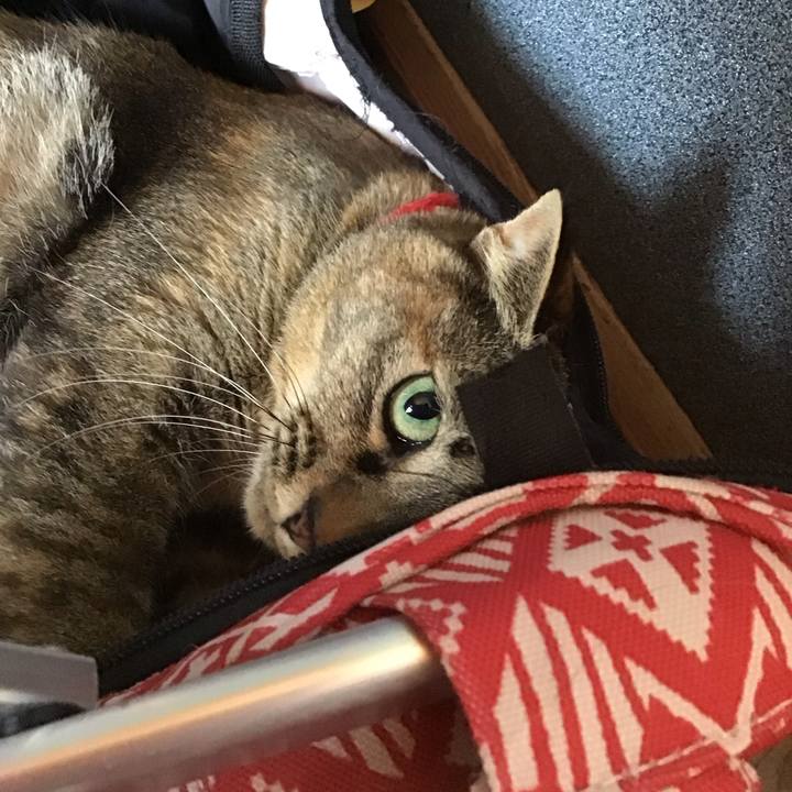 40119c1f 5e2b 4635 ac7f df6b926f987e 1681362344708